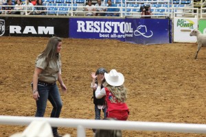 Champion mutton buster!