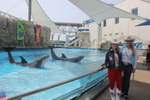 Queens and Dolphins