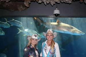 Queens with Sharks